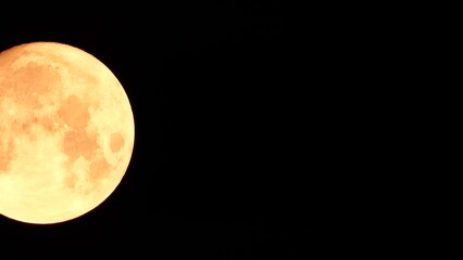 Wall Mural - A glowing golden huge full moon seen from earth through the atmosphere against a starry night sky. A large full moon moves across the sky, the moon moving from the left frame to the right.