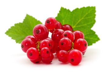 Wall Mural - Red currants with green leaves.