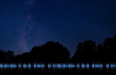 Wall Mural - Radio waves on a starry night