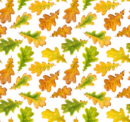 Wall Mural - autumn oak leaves on white background, seamless pattern.