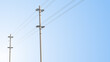 High voltage power lines electricity poles