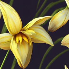 3D Illustration Of A Yellow Lily Flower