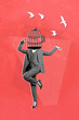 Vertical collage image of dancing person black white effect cage instead head painted birds fly isolated on drawing red background