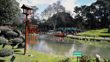 Japanese Garden, Artificial Lake, Oriental Vegetation, Blue Sky With Clouds
