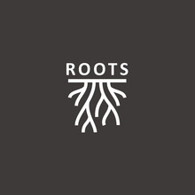 Abstract Tree Logo Design, Root Logo Design Inspiration Isolated On White Background	