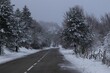 Snowy road in Sila Grande, Calabria, Italy