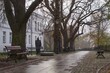 © Grzegorz Sulkowski - Park on Tumskie Hill in Płock on a foggy autumn day.