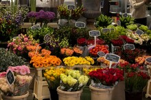 Flowers In The Market