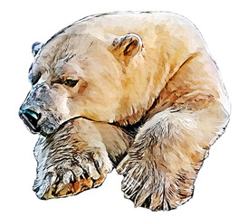 Wall Mural - PNG illustration with a transparent background digital comic book portrait of a polar bear