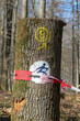 © evbrbe - Holzstamm und rotes Flatterband mit Aufschrift 'Lebensgefahr'