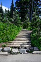 Wall Mural - Wood steps at beginning of Skyline Trail in Paradise area of Mt. Rainier National Park, WA
