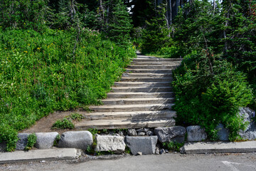 Wall Mural - Wood steps at beginning of Skyline Trail in Paradise area of Mt. Rainier National Park, WA
