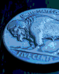 Wall Mural - US nickel. Coin 5 cents close-up. Blue tinted pasteurization stories with American bison. Buffalo nickel. News about USA economy and money. FED rate and bank interest. Five-cent coin. Macro