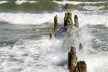 Closeup of a vicious tide crashing against a mossy wooden breakwater in a green ocean