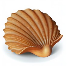 Isolated Seashell On A White Background. 3D Render.