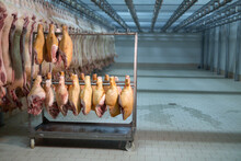 Meat Processing In The Meals Industry, Cuts Uncooked Pig, Storage In Refrigerator, Pork Carcasses Striking On Hooks In A Meat Manufacturing Facility.