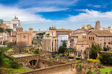 Fototapete - Ancient ruins of forum in Rome