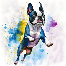 Expressive Watercolor Painting Of A Boston Terrier Portrait