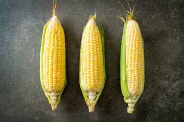 Wall Mural - fresh corn on dark background