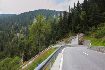 Wall Mural - The road - Serpentine, lighted autumn sun