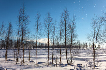 Canvas Print - Short winter day in the Arctic