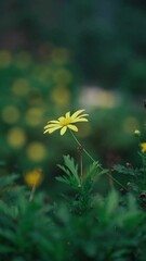 Wall Mural - Vertical shot of a yellow flower in a park