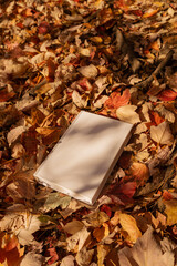 Wall Mural - White book in nature surrounding, autumn leaves. Mockup, conceptual, fall mood, reading book, magazine, colorful leaves