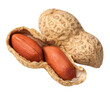 © Kornienko Alexandr - Peanuts
