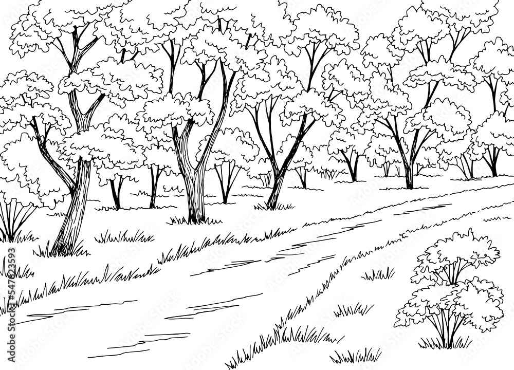 Forest road graphic black white landscape sketch illustration vector ...