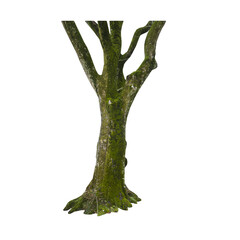 Aufkleber - Isolated PNG cutout of a tree trunk on a transparent background