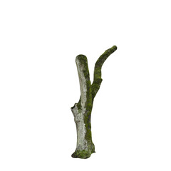 Fototapete - Isolated PNG cutout of a tree trunk on a transparent background