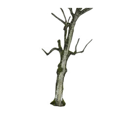 Aufkleber - Isolated PNG cutout of a tree trunk on a transparent background