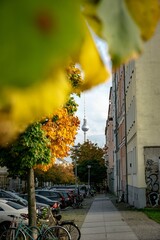 Canvas Print - Berlin television tower in the capital of Germany