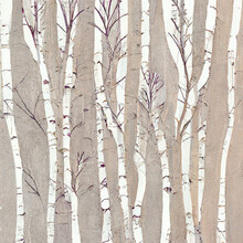 In The Woods, Shadows Of Stylized Trees Trunks, Mauve, Beige, Grey, Illustration, Background, Backdrop, Digital, Card, Greeting Card, Birch, Generative Ai