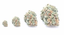 Marijuana Buds Of Different Sizes Isolated On White Background