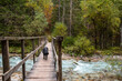 Crossing a wooden footbridge in the forest, somewhere in the Bistrice valley in the Triglav National Park