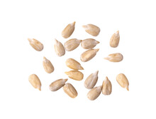 Peeled Sunflower Seeds Isolated On Transparent Png