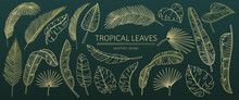 Golden Tropical Leaves Line Icons Set Vector Illustration. Hand Drawn Outline Gold Foil Sketches, Branch With Foliage Silhouettes, Leaf Of Plants And Palm Trees, Tropical Paradise Exotic Elements