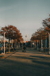 Berliner Fernsehturm mittig aus der Ferne mit Bäume links und rechts