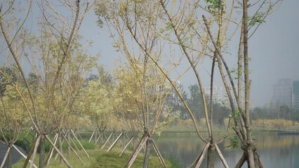 Sticker - Park with trees by the water in a city