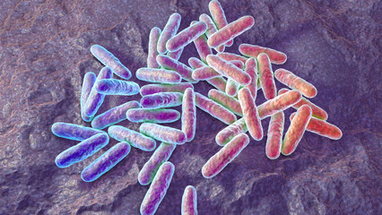 Sticker - Bacteria Eikenella, illustration