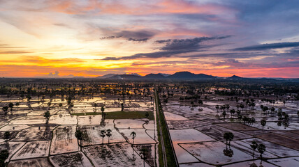 Wall Mural - Beauty rice terrace with Sugar palms on sunset