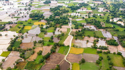 Wall Mural - Ta Pa rice fields are beautiful in the morning