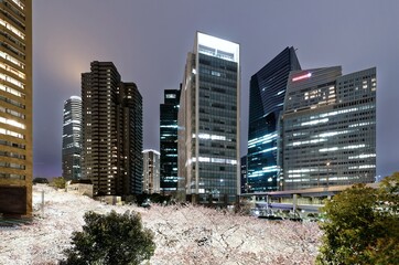 Wall Mural - Night scenery of Roppongi Ark Hills in Tokyo downtown during sakura season with view of illuminated Japanese cherry blossoms under high rise skyscrapers ~Beautiful urban skyline of Tokyo in springtime