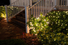 White Christmas Lights Adorning Bush And Plants In Front Yard Next To Stairs