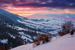 © Pellinni - carpathian rural landscape in winter. beautiful sunrise in mountains. snow covered hills. scenery with krasna ridge in the distance. synevir village in the valley