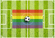 Soccer field with grass and LGBT flag as a symbol