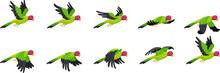 Parrot Animation. Animated Parrots Flight, Flying Bird Loop Sequence Sprite List, Nature Fly Movement Wing Motion Flash Cycle Frames, Cartoon Birds 2d Game Neat Vector Illustration