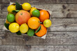 Mix of citrus fruits. Oranges, grapefruit, lemons and limes with leaves in box on wooden background. Top view. Photo from above.