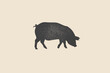 Dark silhouette of pig with stamp effect on light background. Vintage emblem for meat products and farms. Can be used for butcher shop, market, menu design, packaging, and labels. Vector illustration.